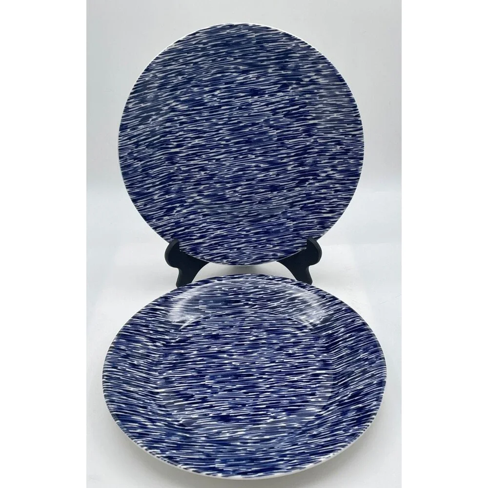 Set of 2 Royal Doulton Pacific Streaks 9.25